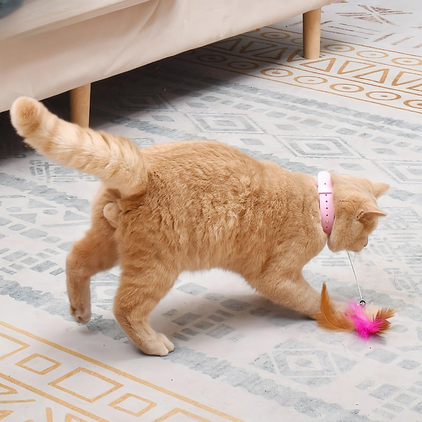 Cat Collar Toy